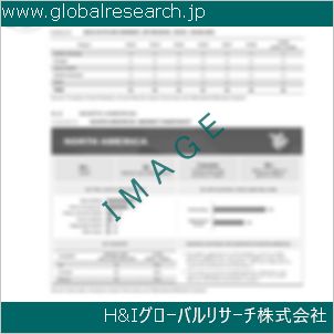 グローバルリサーチ調査資料のイメージ